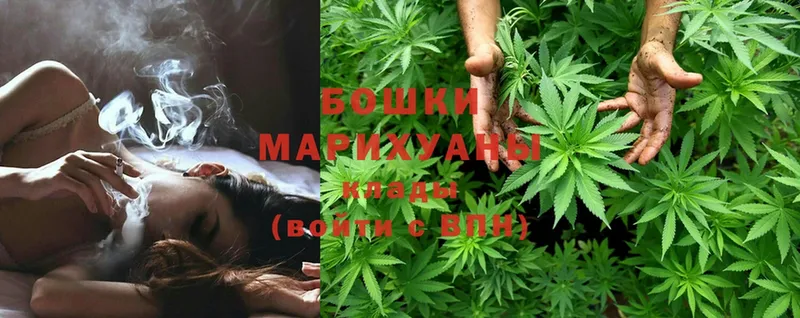 МАРИХУАНА OG Kush  Ноябрьск 